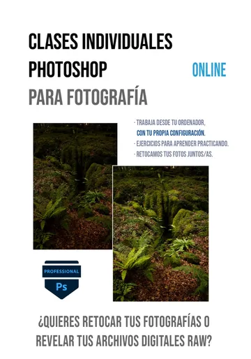 Cartel de las clases individuales de Photoshop para fotografía online, con un bosque de helechos antes y después del retoque